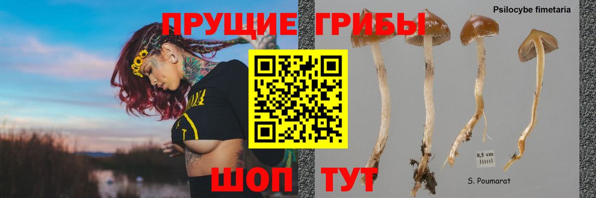 Бошки Шишки Железноводск